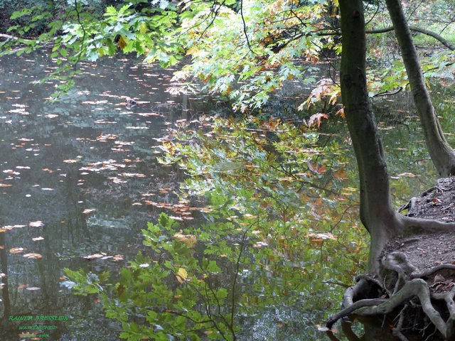 Foto: Rainer Bresslein