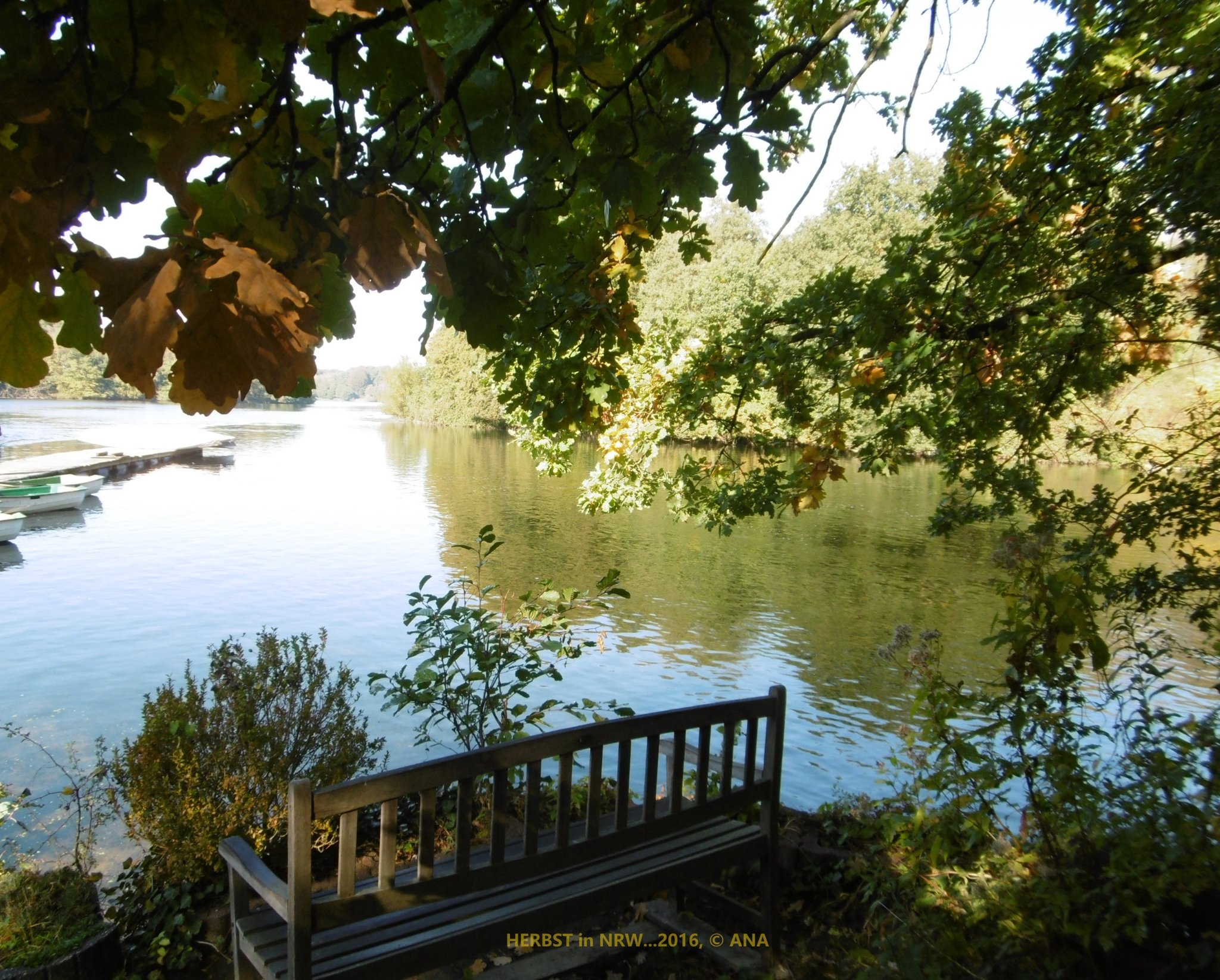 HERBST am SEE - Essen-Ruhr