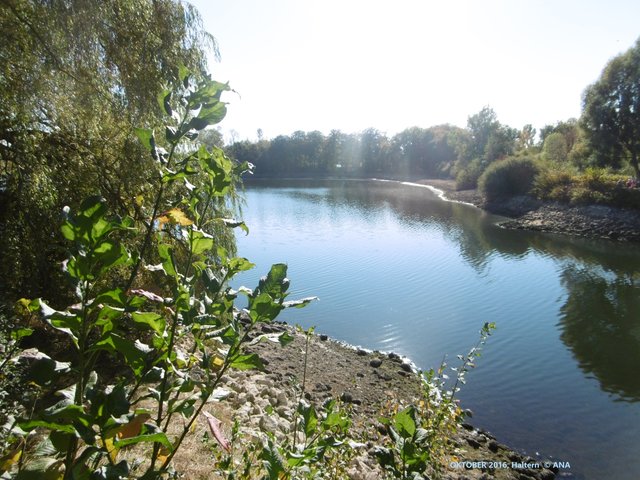 ...beruhigend dann am See, aber auch immer mit GEDANKEN...