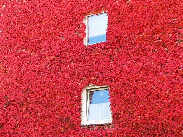 Foto: Rainer Bresslein