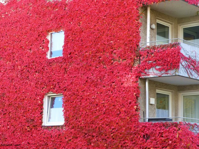 Foto: Rainer Bresslein