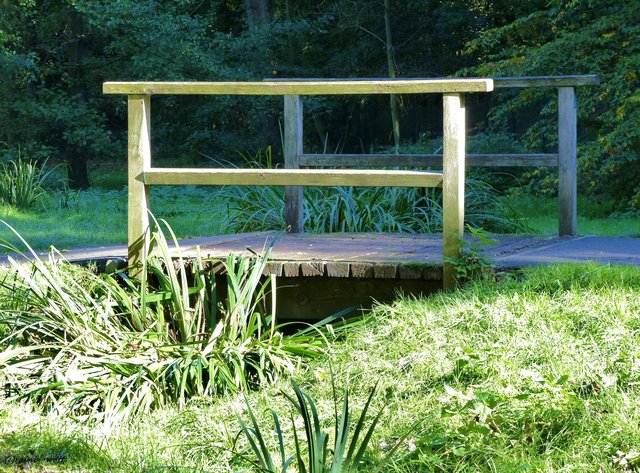 Foto: Rainer Bresslein