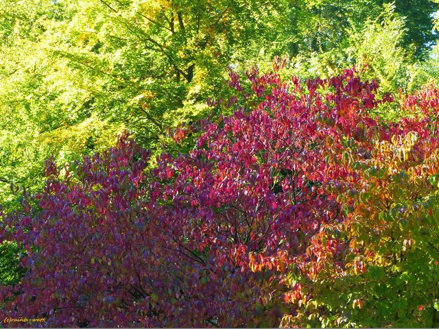 Foto: Rainer Bresslein