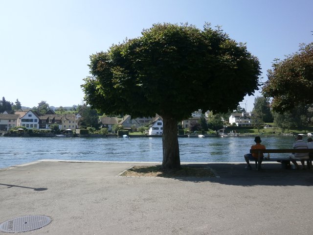 Blick auf den Rhein...