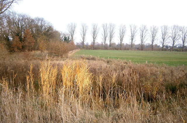 Spätherbstliche Landschaft am Rheindeich.