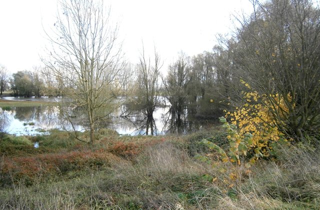 Auenlandschaft am Rheindeich.