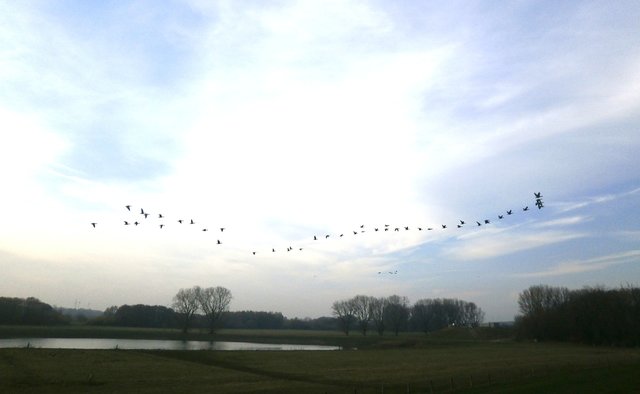 Schön, ihnen zuzuschauen...