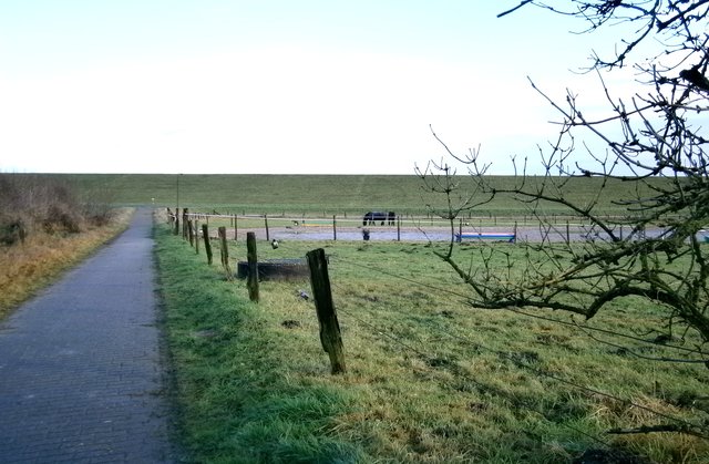 Blick auf die Natur und Deich.