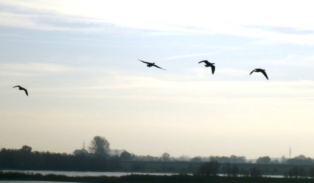 ... in Deckung gehen...