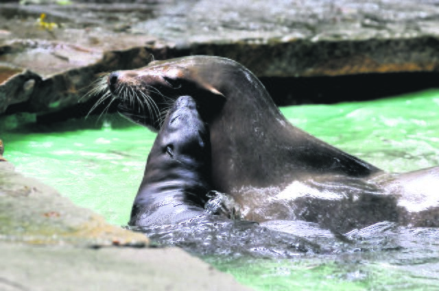 Foto: Andreas Klinke