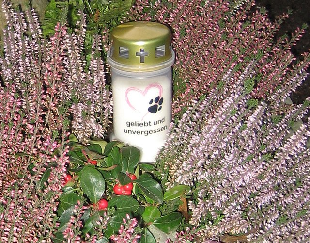 Im passenden Blumenschmuck wirkt die Kerze besonders.