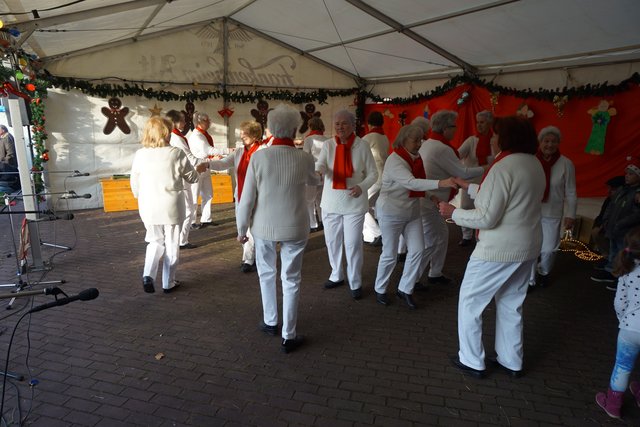 Die Rosi-Dancers des Seniorentreffs bei der Aufführung.