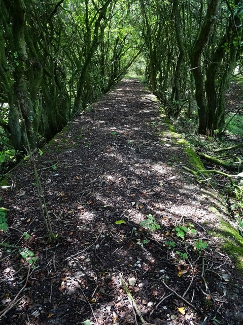 Zementsäcke im Rhein, Bahnhof Welle und der Englische Bogen Emmerich