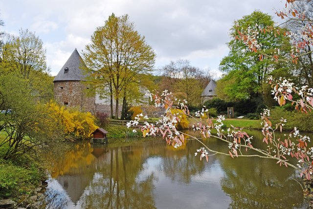 Durch eine Renaturierung soll die Wasserqualität der Teichanlage von Schloss Hardenberg verbessert werden. Die Maßnahme, die durch den Förderverein des Schlosses finanziert wird, sorgt allerdings nicht nur für positive Resonanz. | Foto: Astrid von Lauff