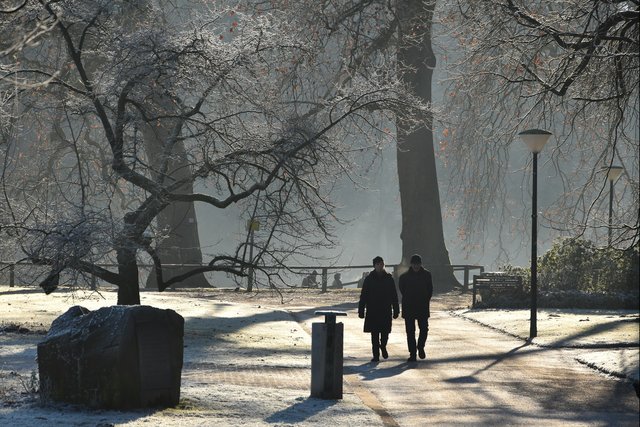 Rombergpark am 31.12.2016