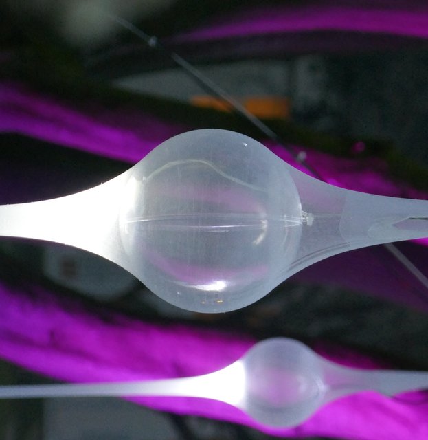 Lila, der letzte Versuch - Essen-Süd