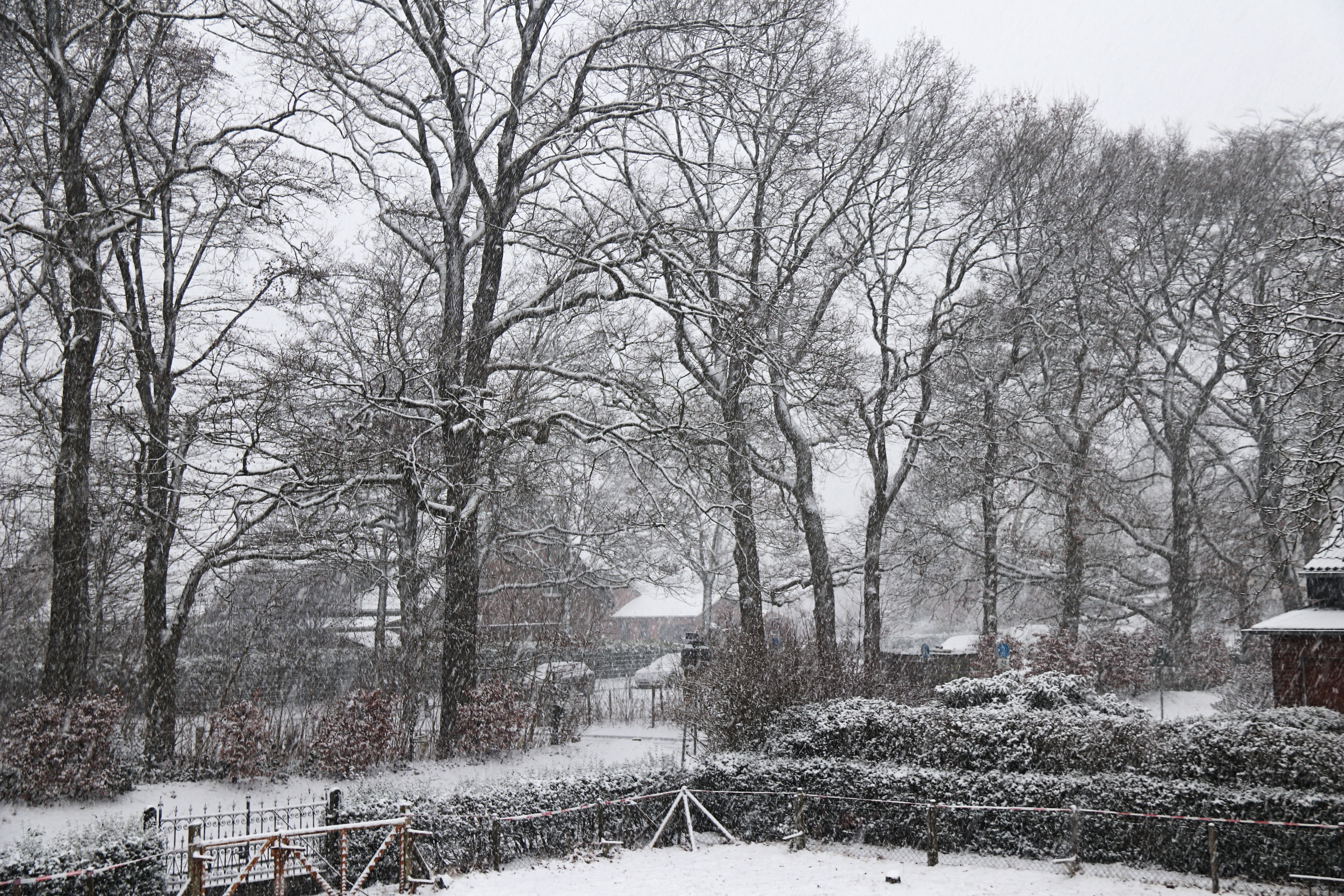 Schneefall ................