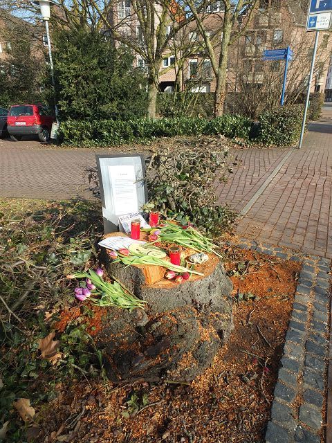 niedergelegte Blumen und Kerzen an einem der Baumstümpfe