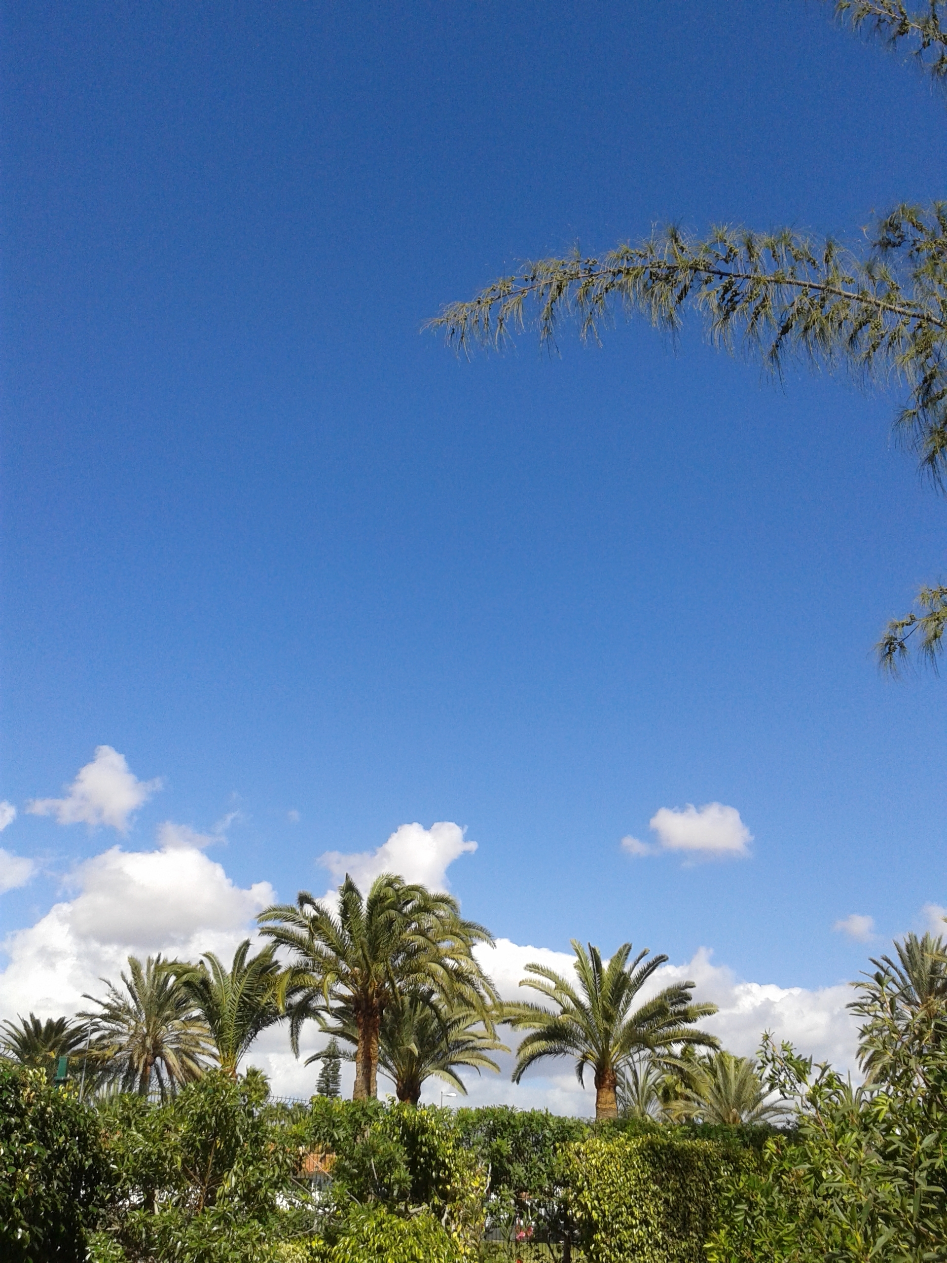 Blick nach oben