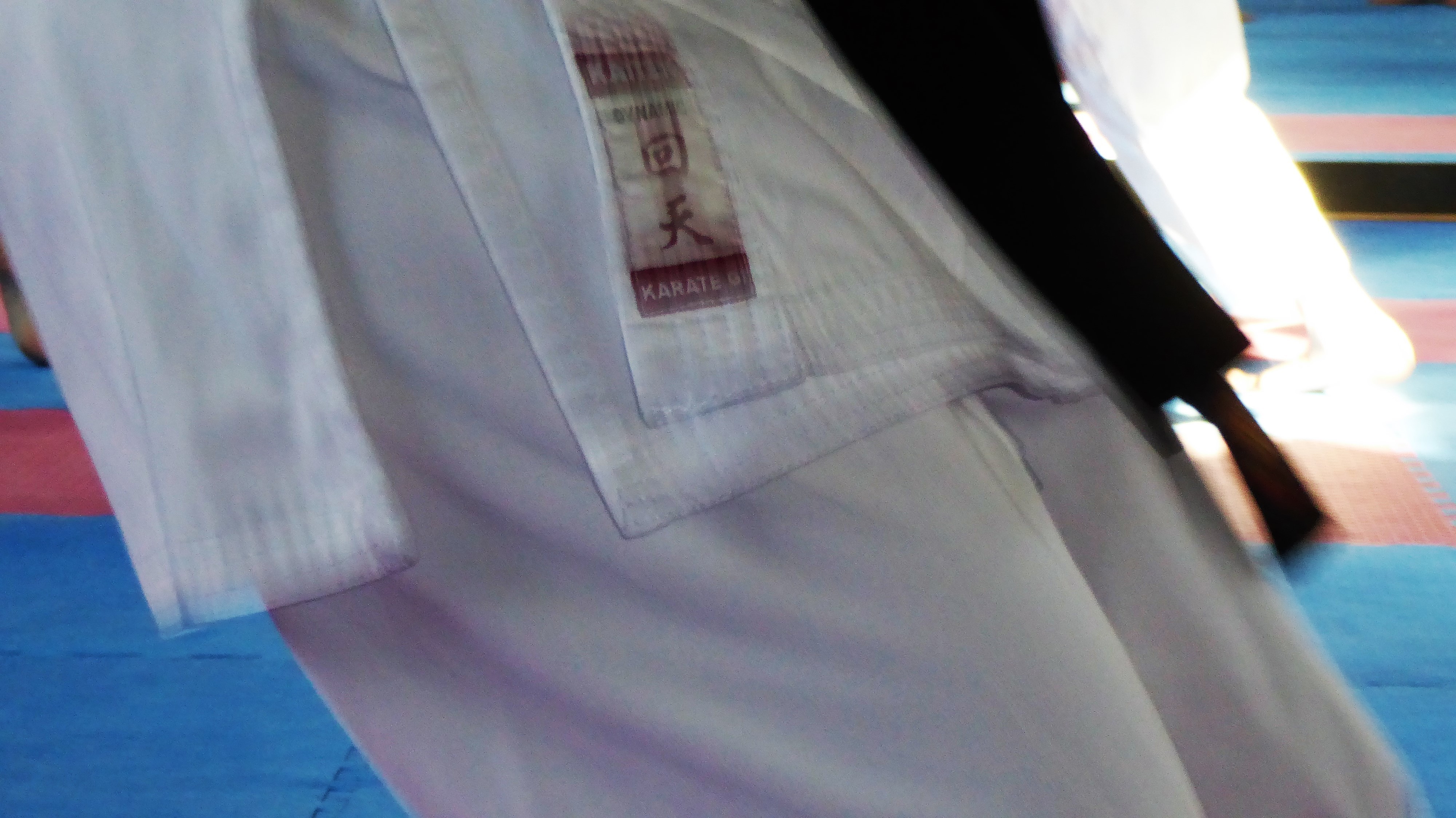 Karate - ein Sport für ALLE - JETZT anfangen! (Foto: privat)