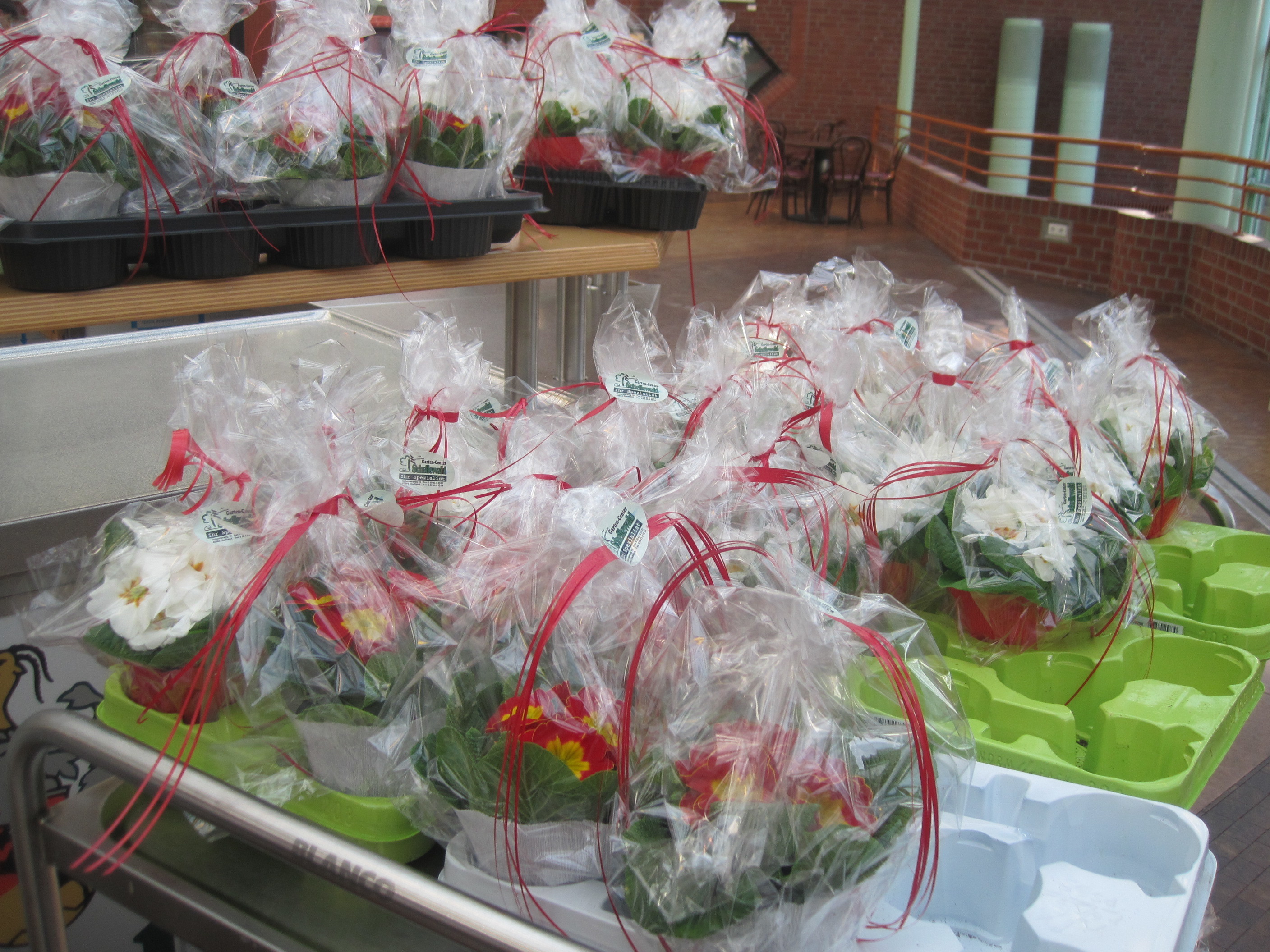 Das kleine DRK Geschenk zum Valentinstag