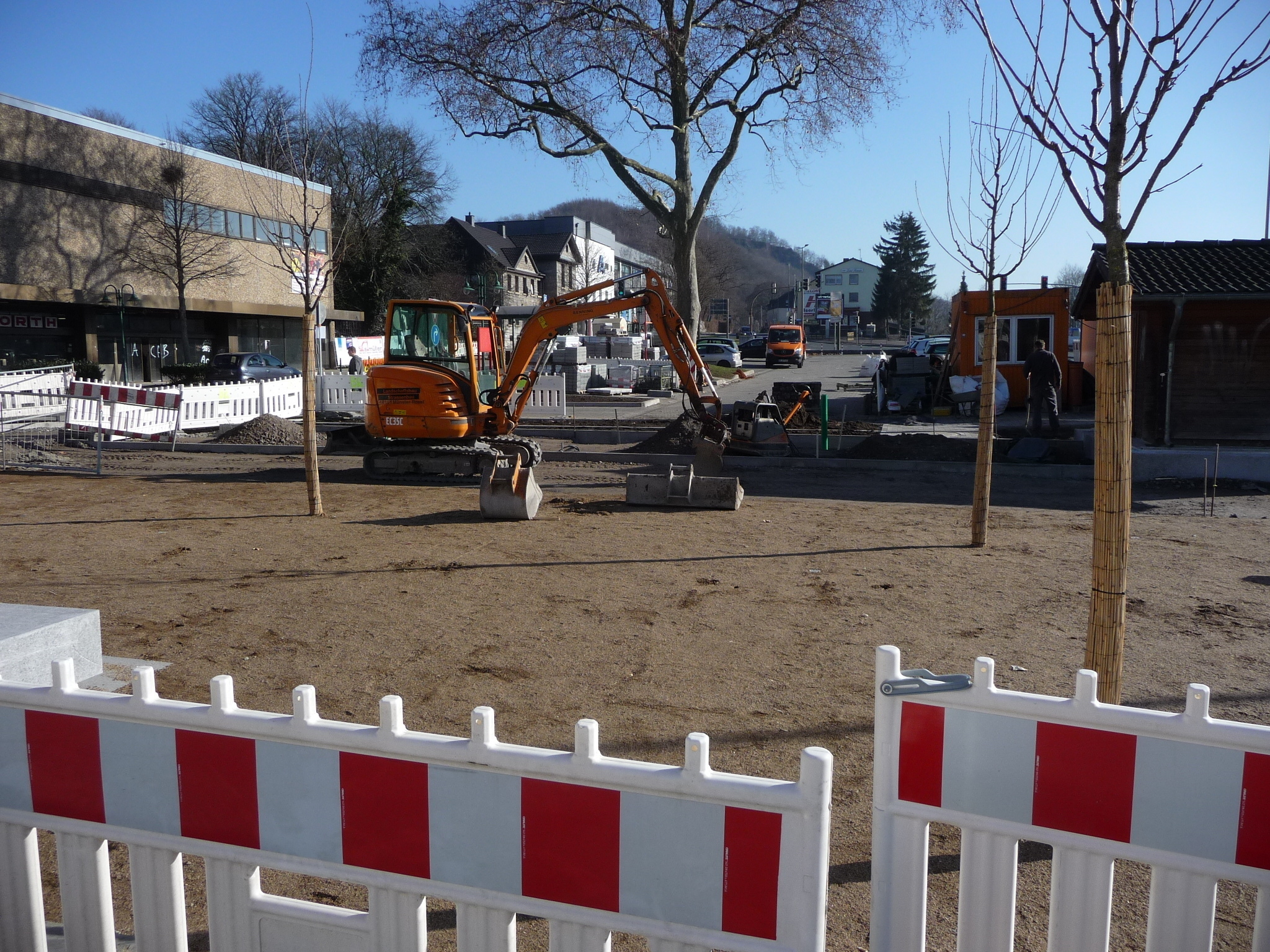 Die Bäume sind gepflanzt, die Arbeiten schreiten zügig voran. Foto: Günther