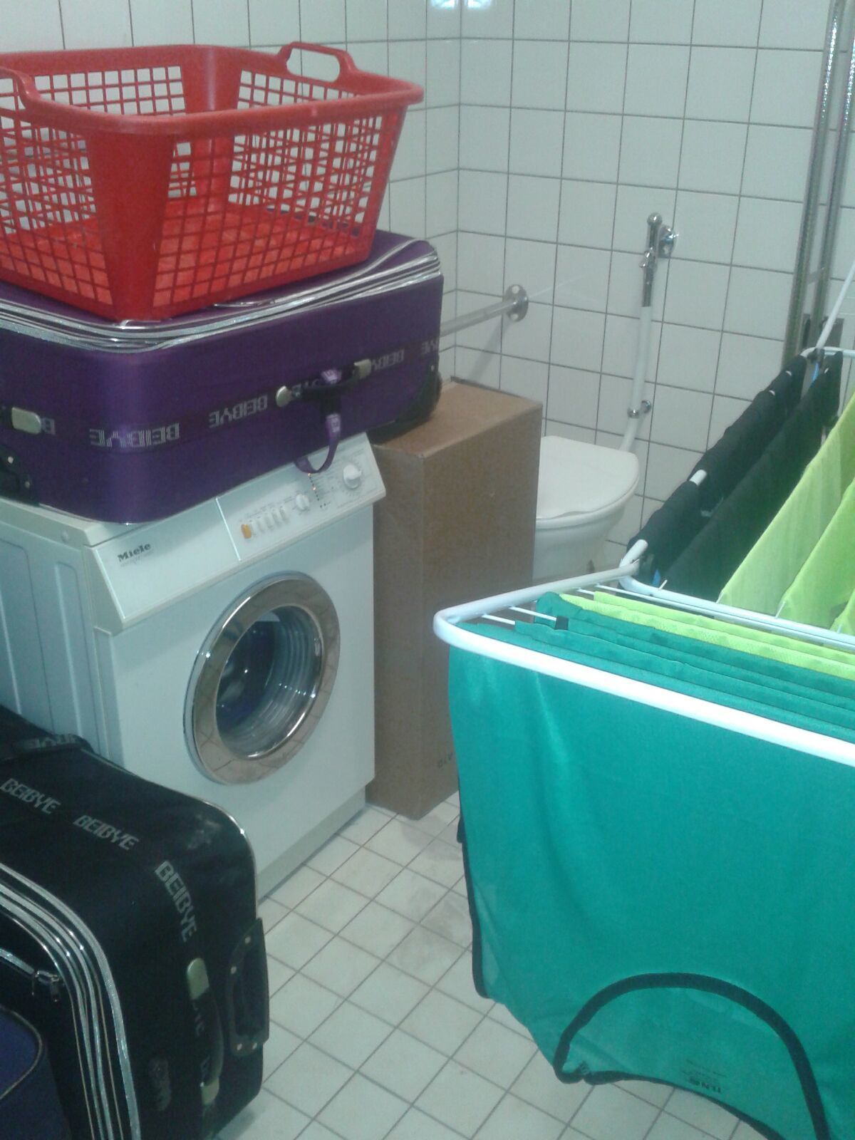 Umfunktionierte Behinderten-Toilette! Zweimal konnte SVV Rede und Antwort stehen und musste mit ansehen, wie ein Mann seine Frau auf dem verwiesenen Damenwc aus dem Rollstuhl heben musste! Einfach eine Schande!