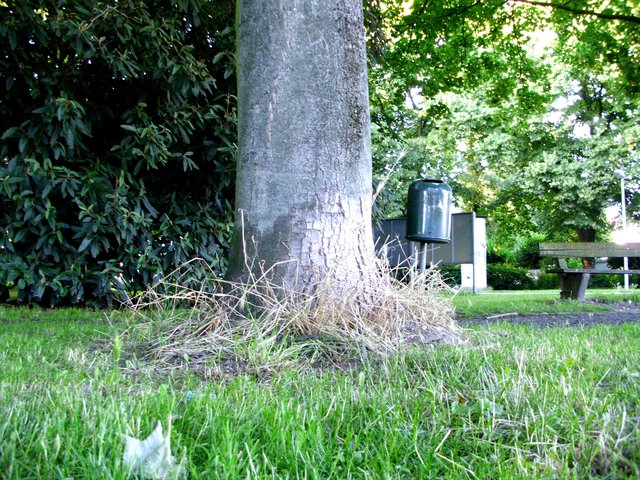 6. Bild  Ruhebank lädt ein