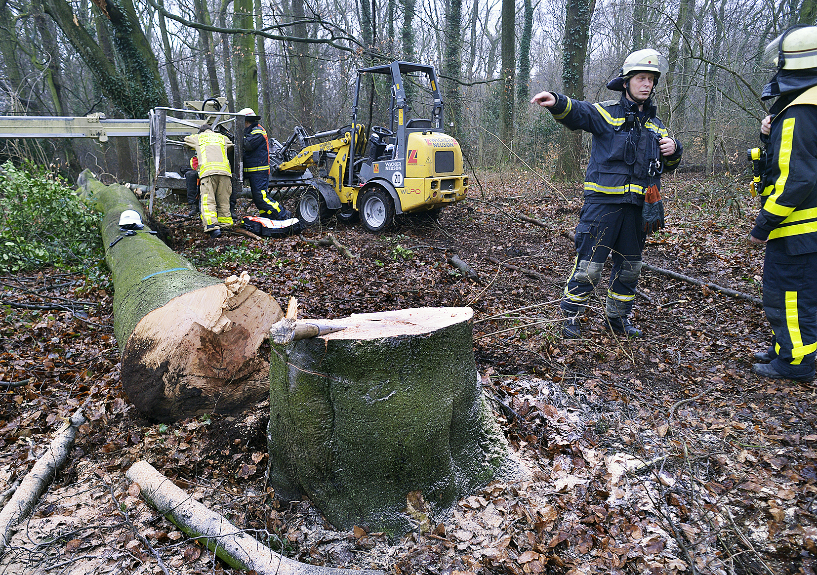 Mit einem Großaufgebot war die Gladbecker Feuerwehr an der Arenbergstraße in Zweckel im Einsatz, nachdem dort ein Baum bei Fällarbeiten einen Forstarbeiter unter sich begraben hatte.