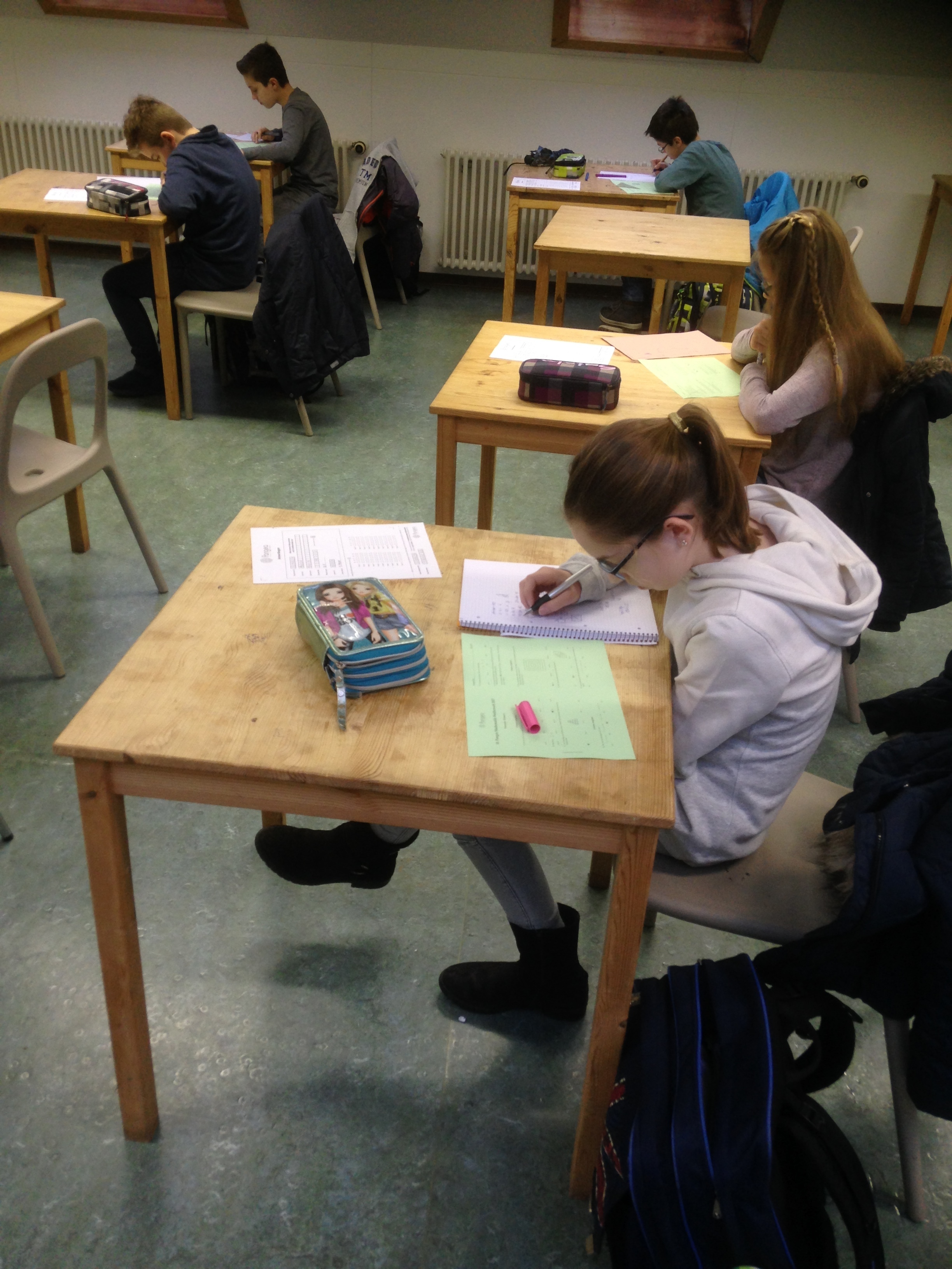 „Pangea-Wettbewerb der Mathematik”. (Foto:Privat)