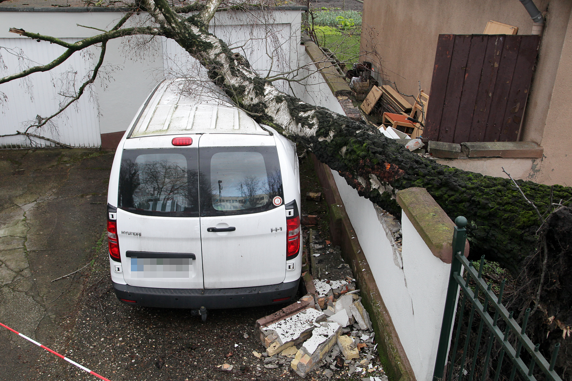 Eine Birke krachte in Brambauer auf ein Auto.