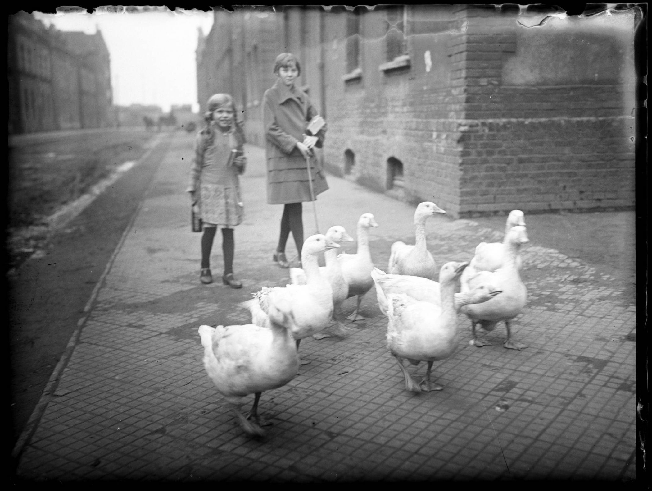 Gänsehüten in der Siedlung Kaiserstuhl, Dortmund, 1928-1933