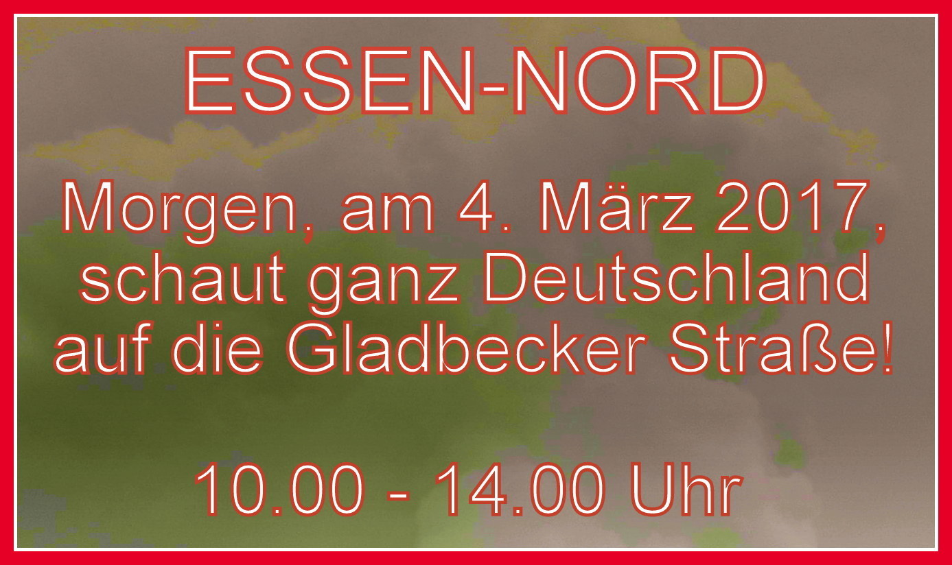 Greenpeace-Demo am 4. März 2017. Alle Bürgerinnen und Bürger sind herzlich eingeladen, Flagge gegen Feinstaub, Stickstoffdioxid 6 Co. zu zeigen.