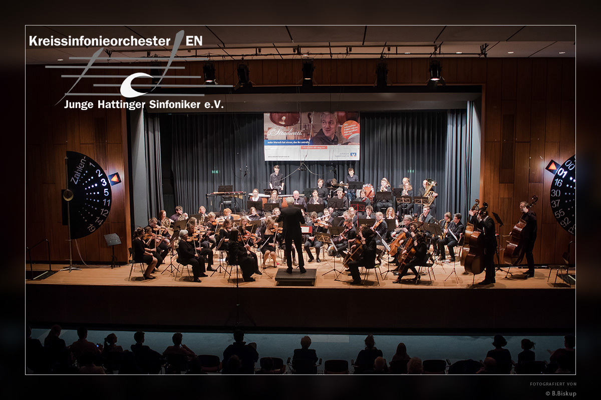 Freuen Sie sich auf das Gastspiel der Sinfoniker.