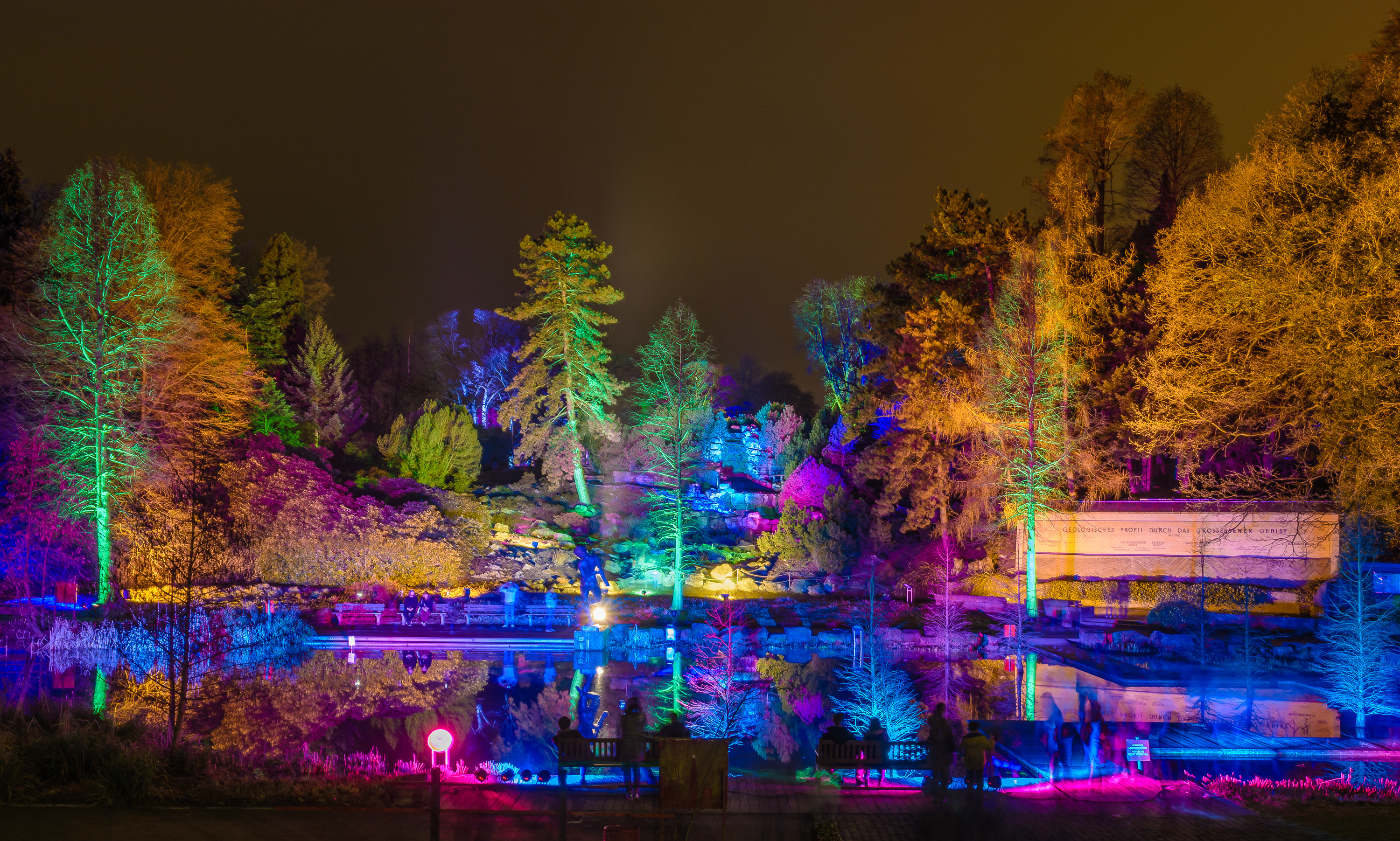 Der Waldsee mit Illumination