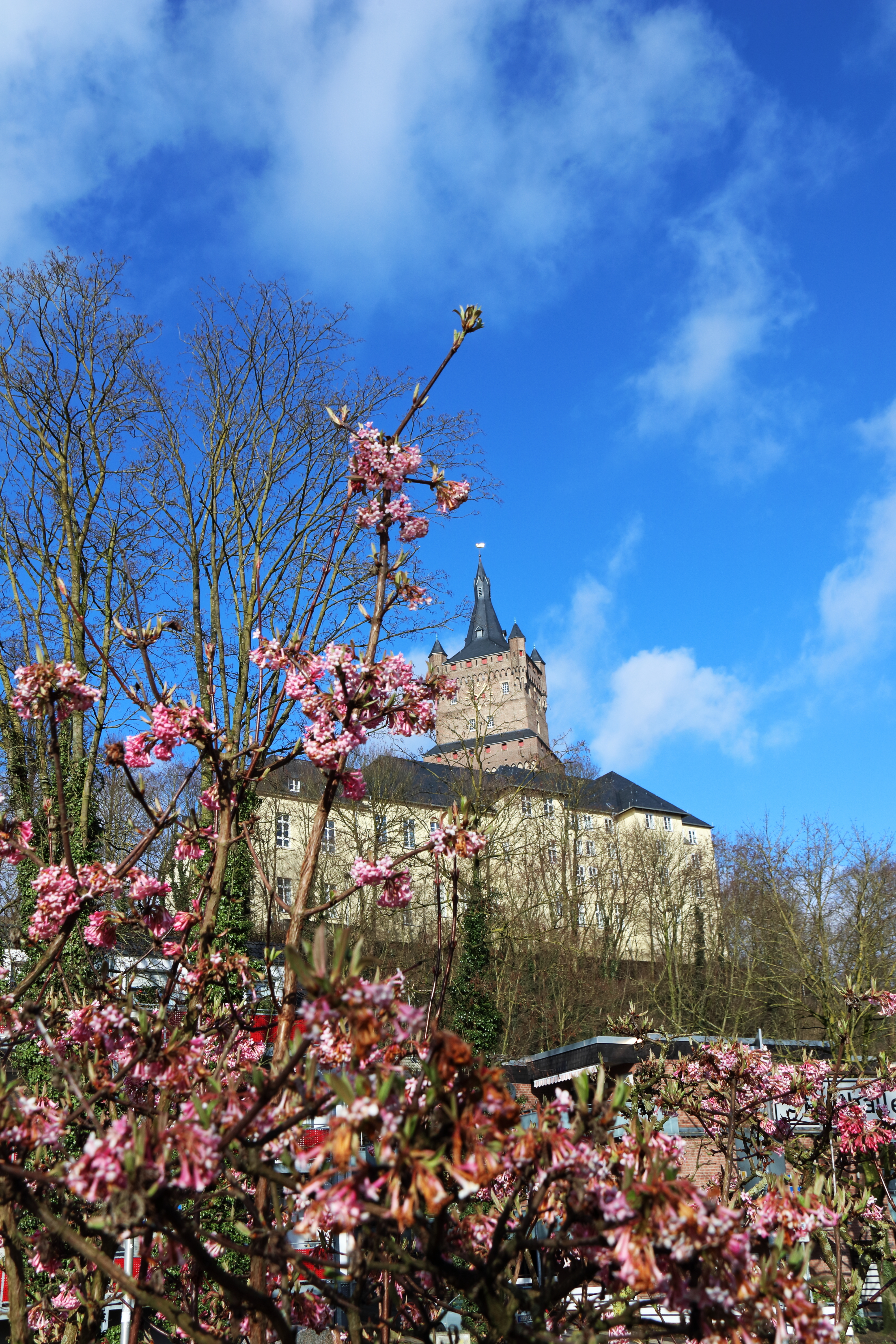 Frühling vor der Burg ..............