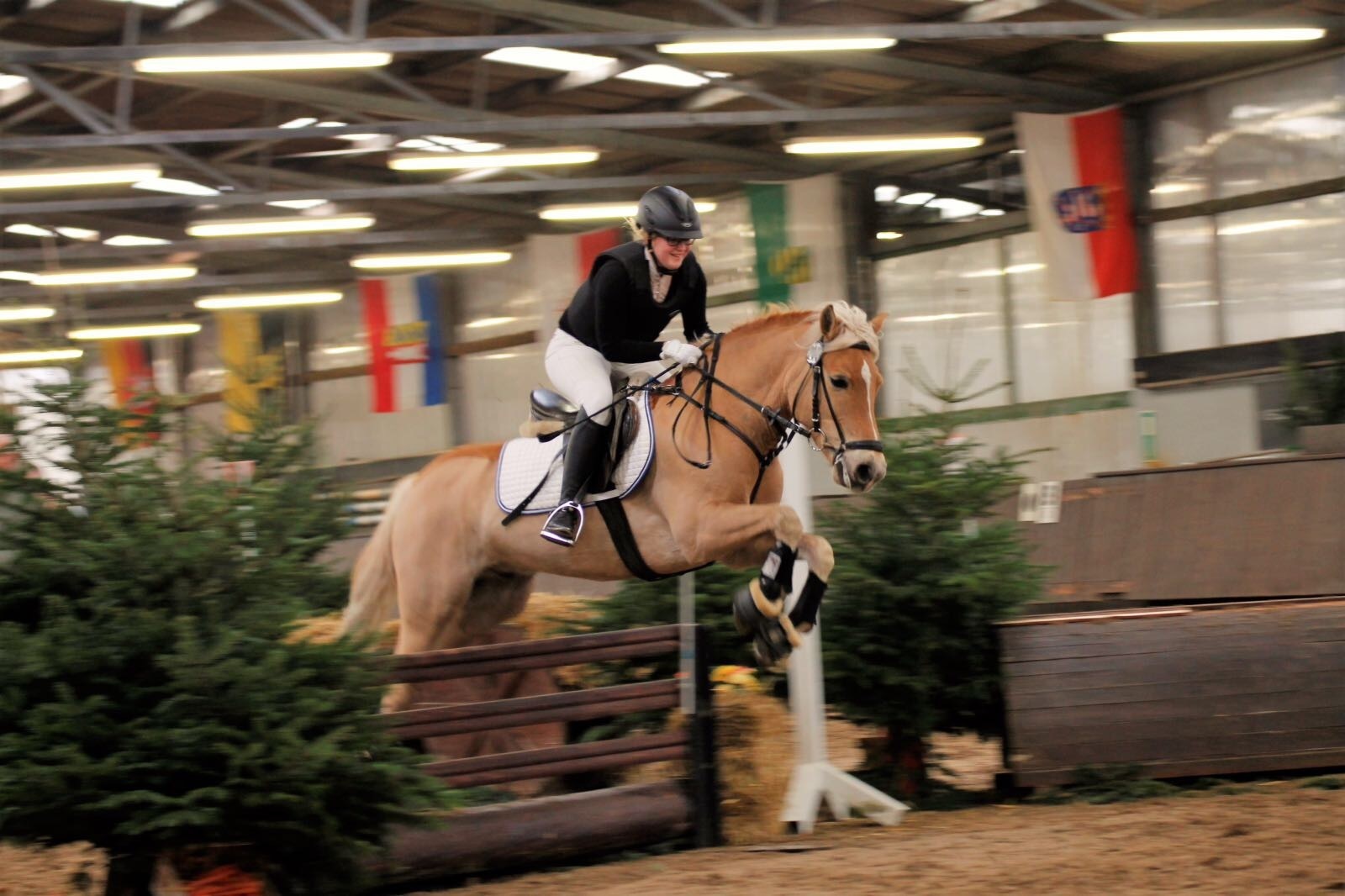 Anika Reick mit ihrem Haflinger Lucky Punch über einem Geländehindernis.