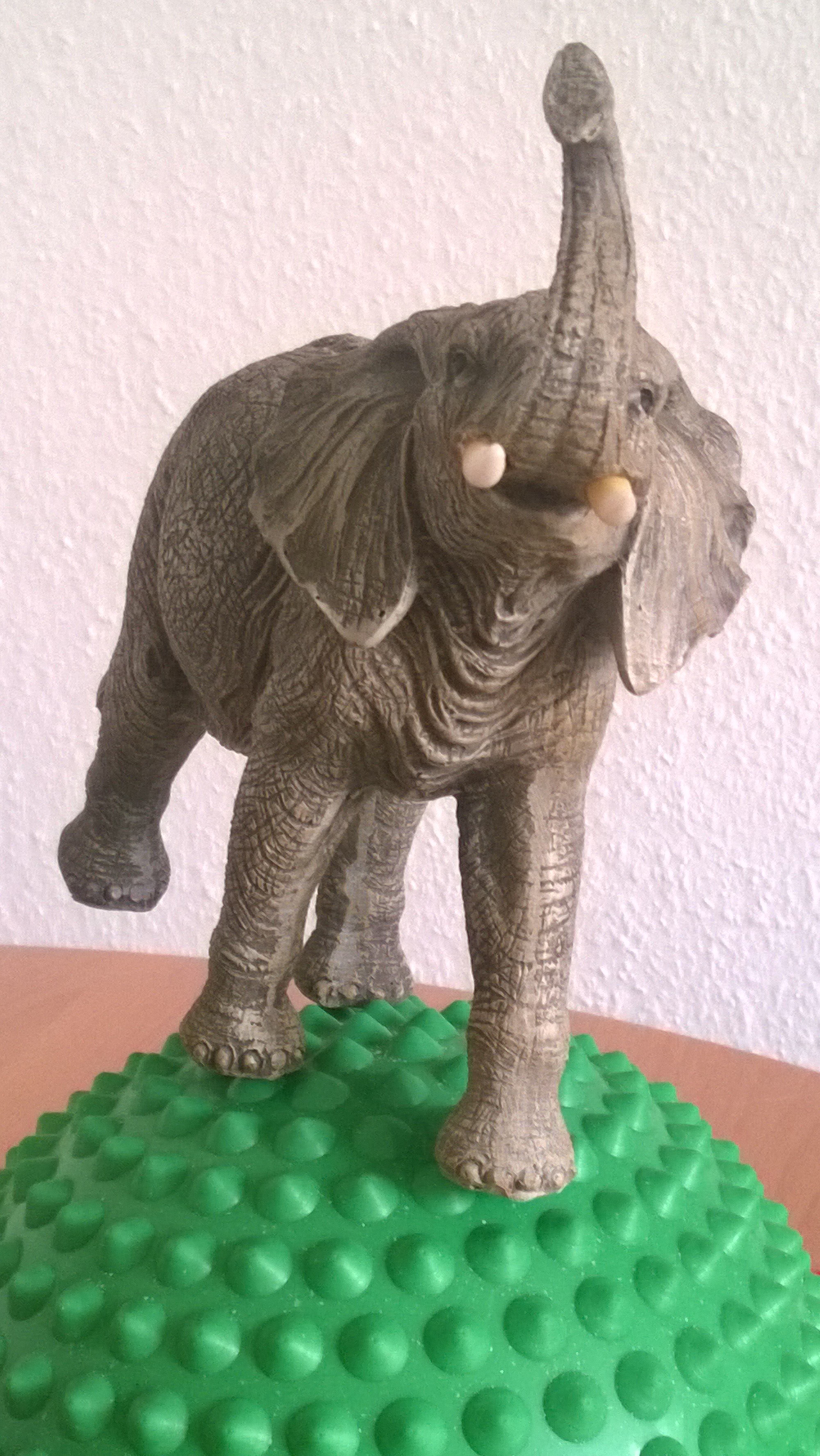 Roland Jalowietzki - Mein balancierender Elefant