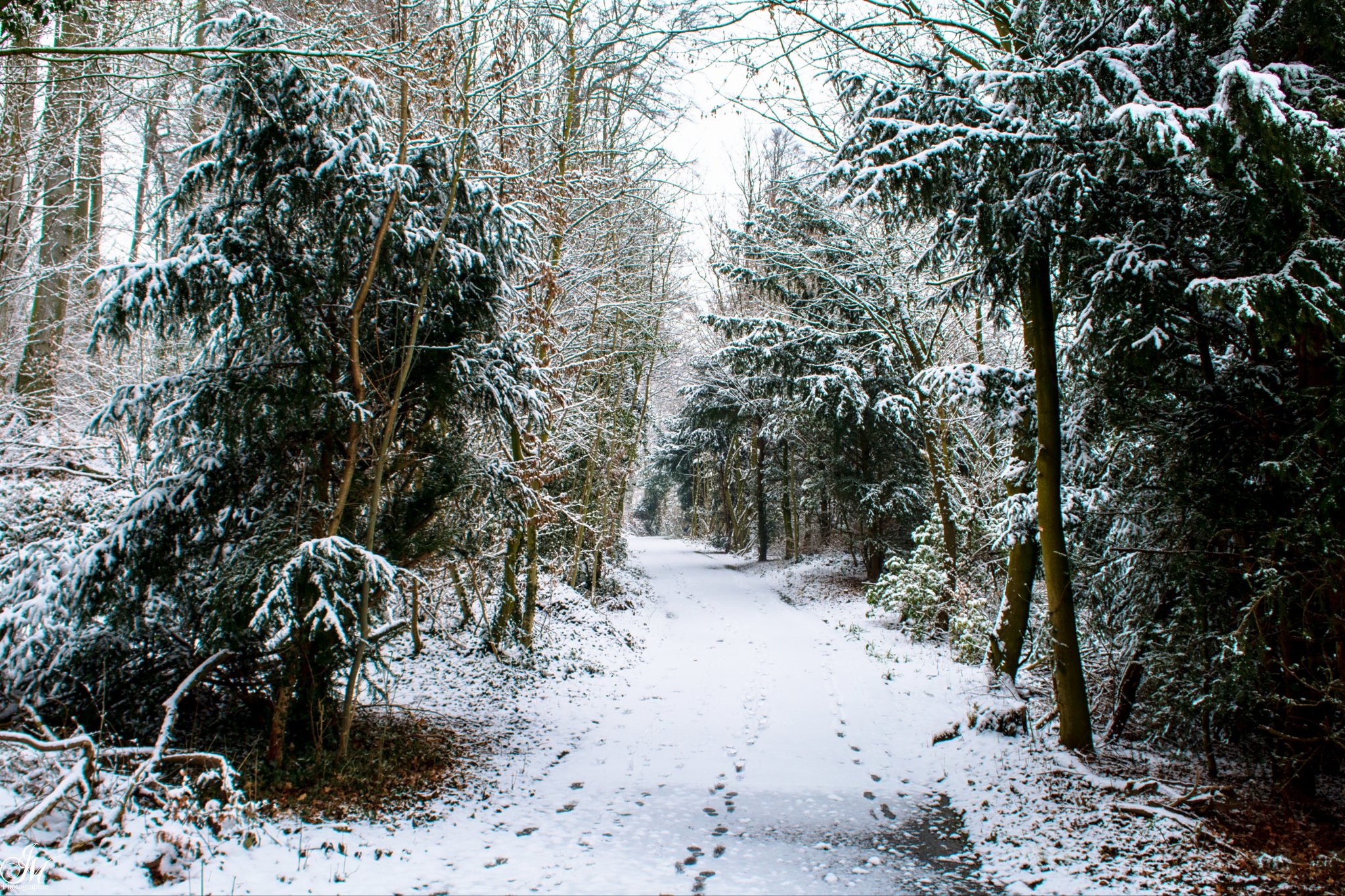 Südpark Bochum Südpark Bochum