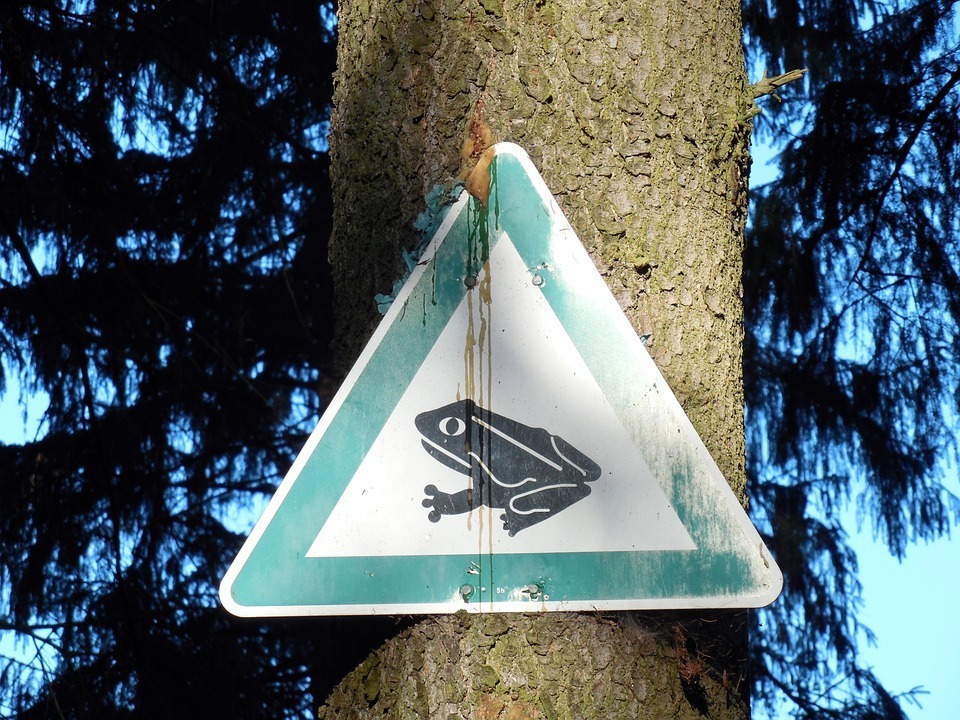 Krötenwanderungs-Warnschild. (Symbolfoto:Pixabay.com)