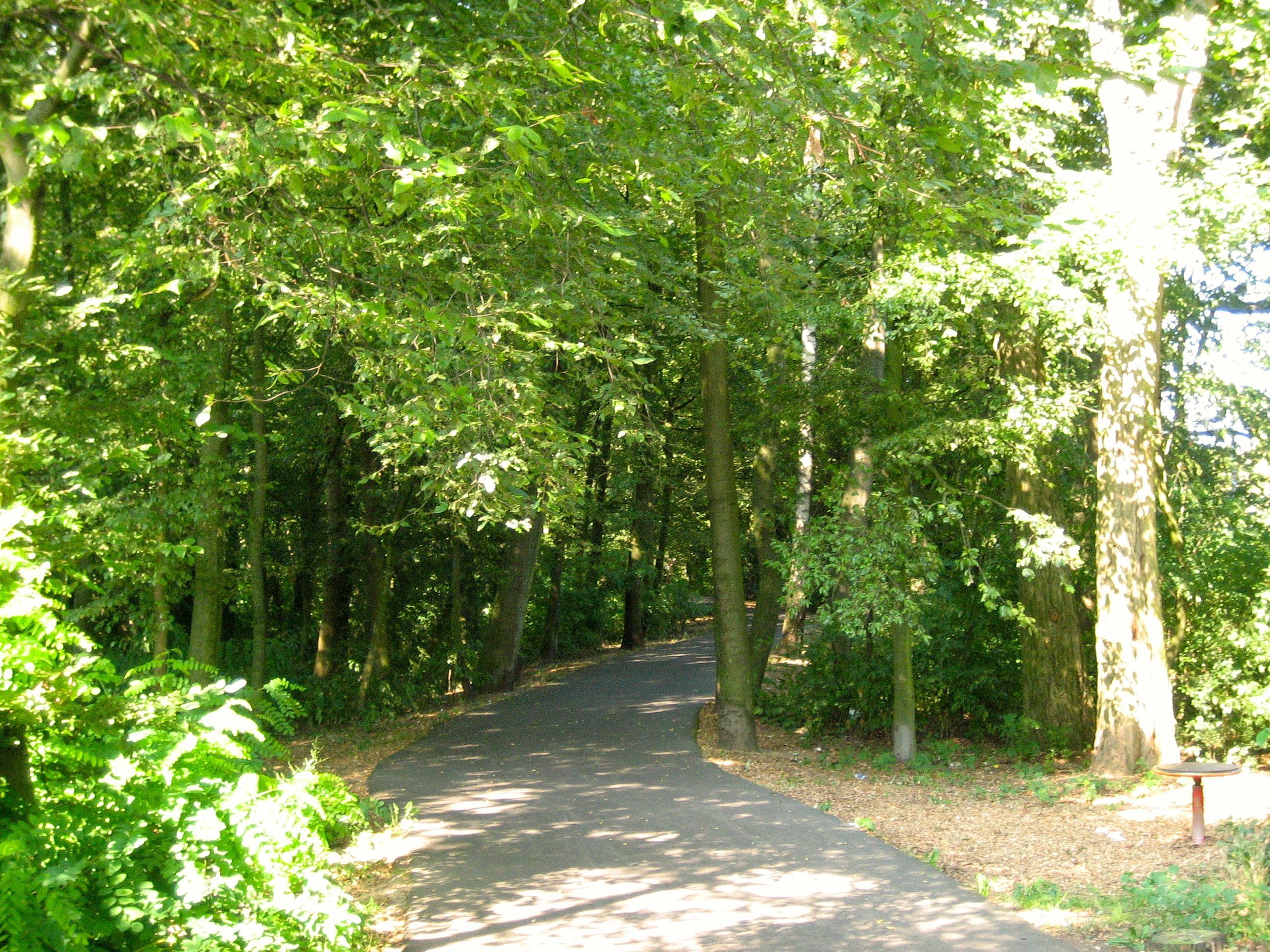 Glacis im Spätsommer