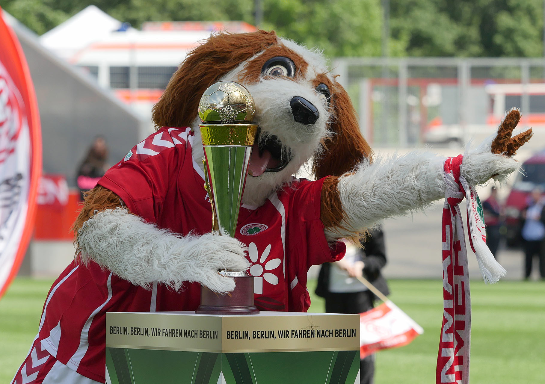 Nicht nur der Underdog von Rot-Weiß Oberhausen träumt vom Pokal. Archivfoto Michael Gohl / FUNKE Foto Services