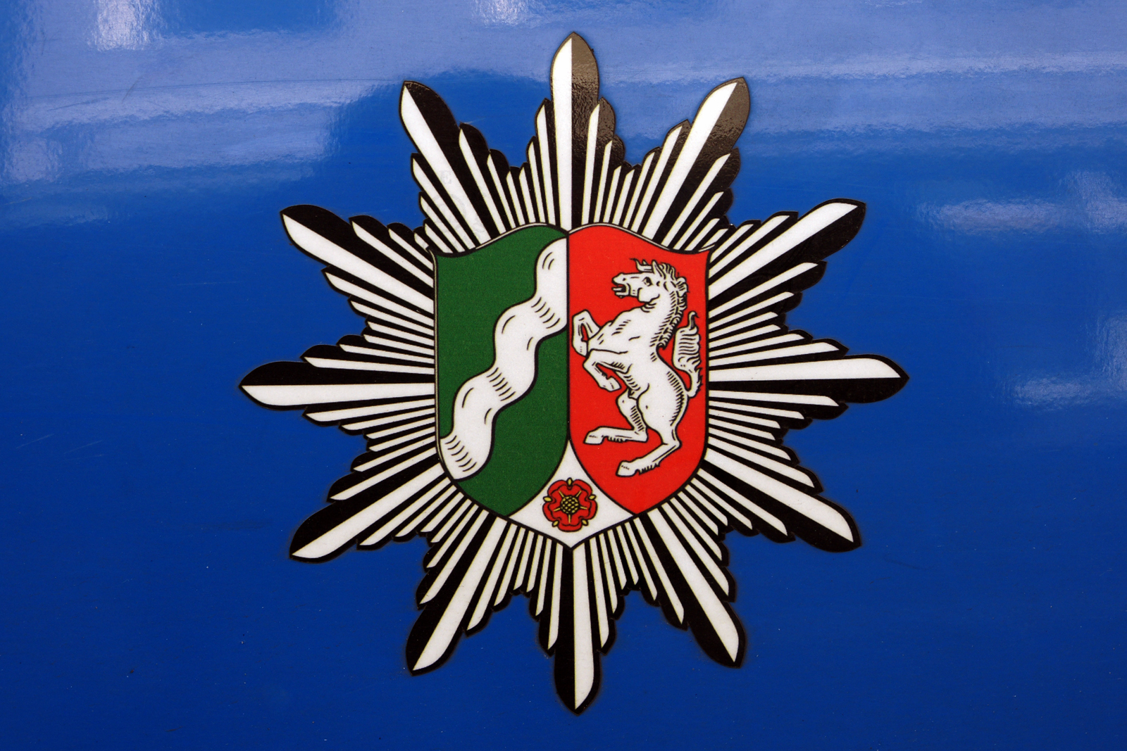 Die Polizei sucht Zeugen nach einer Brandstiftung.