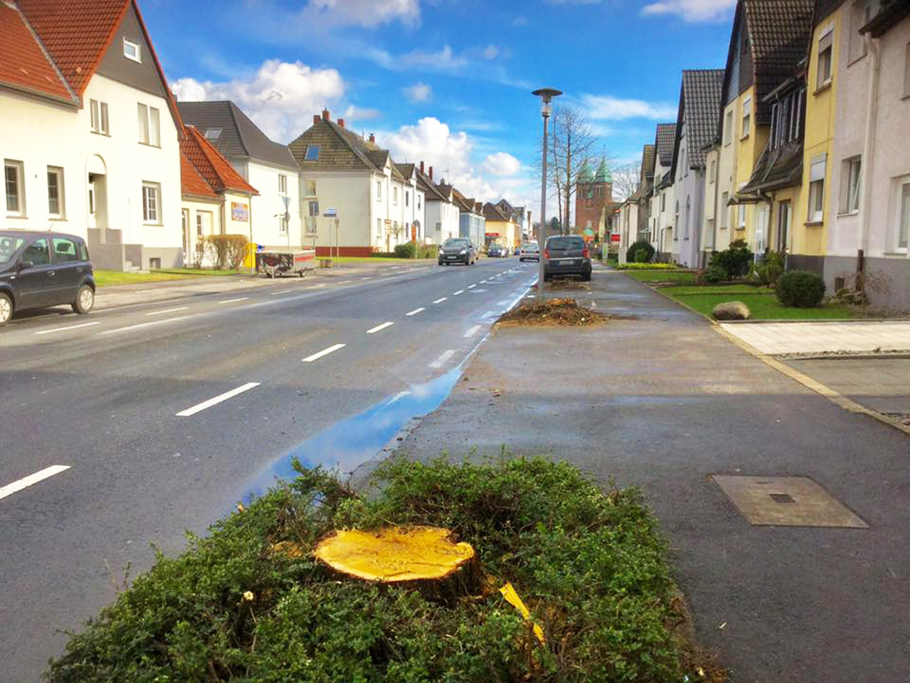 Entlang der Zweckeler Beethovenstraße fielen gleich mehrere Bäume der Motorsäge zum Opfer. Wie der SPD-Ortsverein auf Anfrage beim ZBG erfuhr, wurden die Robinien aus Sicherheitsgründen gefällt. Eine Nachpflanzung ist bereits fest eingeplant.