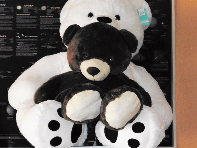 Papa und Mama Bär