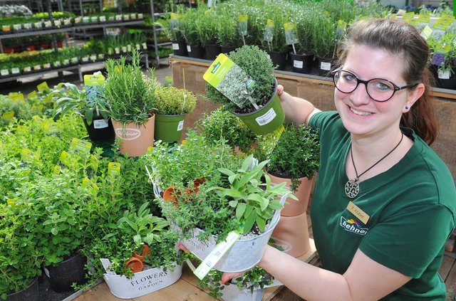 36+ Dehner Öffnungszeiten Langenfeld, Öffnungszeiten dehner garten