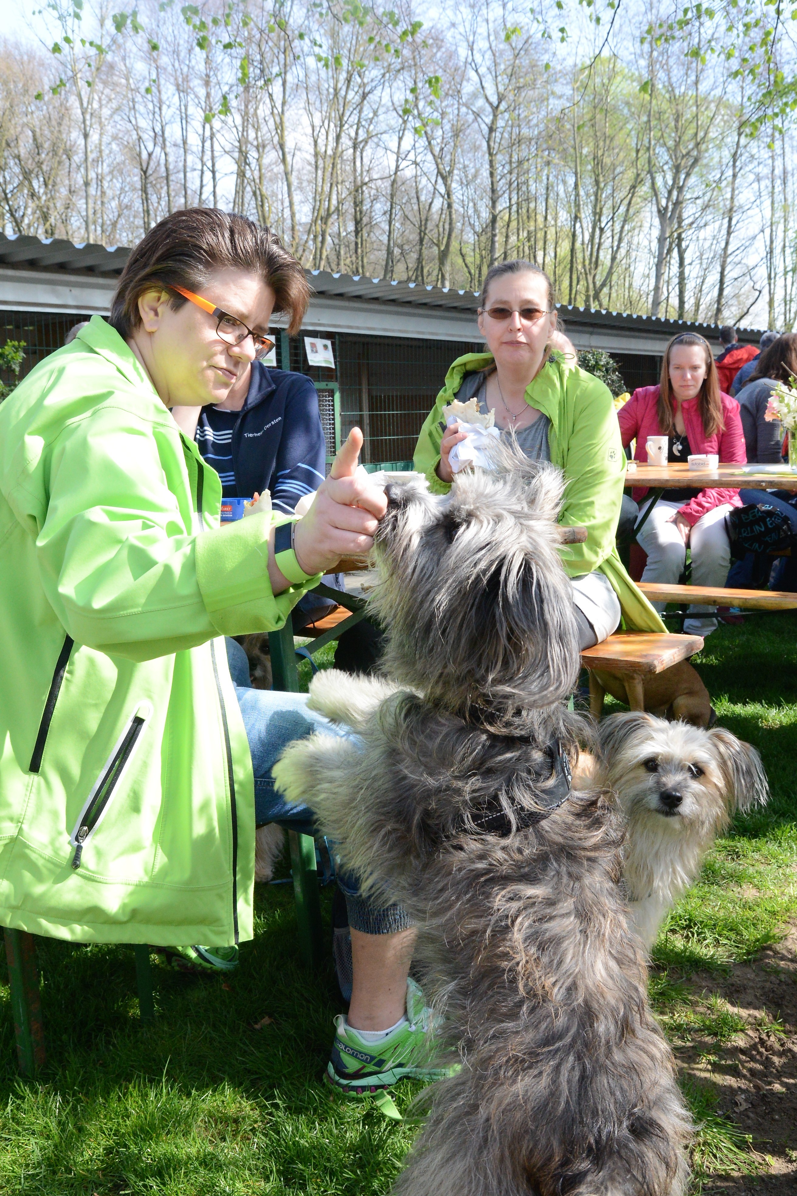 Frühlingsfest Tierschutzverein