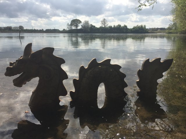 Nessi im Budberger See