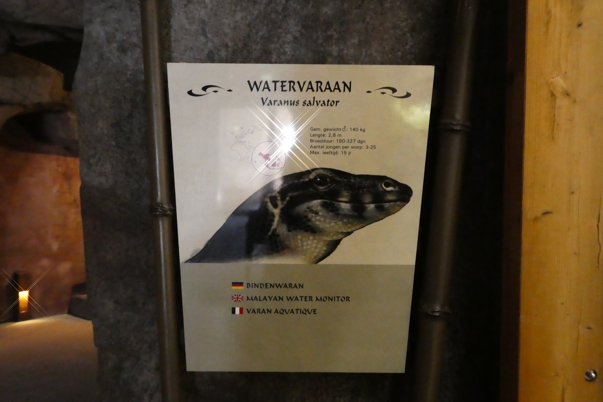 Ein Besuch im Königlichen BURGERS'ZOO Arnheim 4 - Castrop-Rauxel