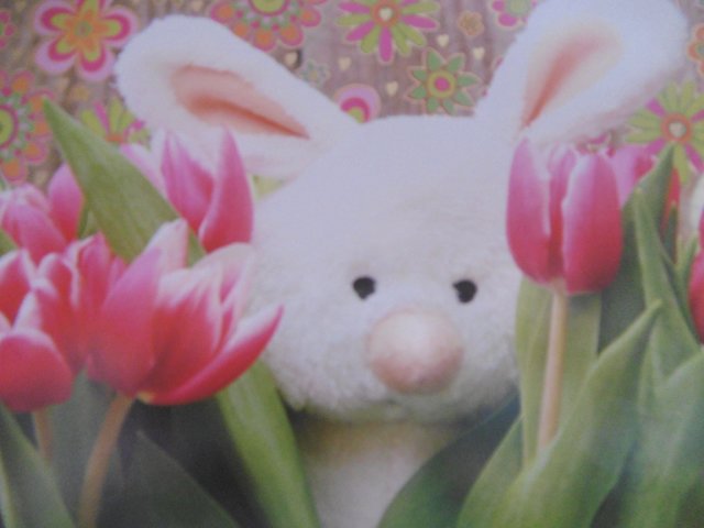 ...eine OSTERgrußkarte ...